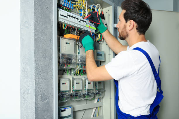 Best Electric Panel Repair  in Orangeburg, SC